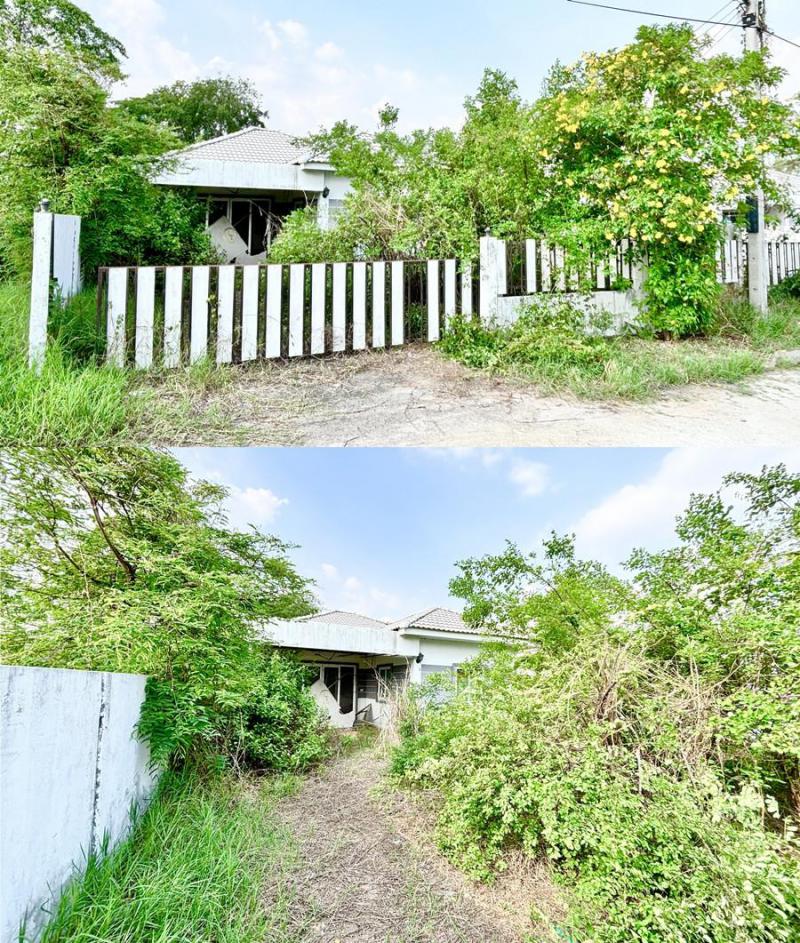 บ้านเดี่ยวหลุดจำนอง ธ.ธนาคารอาคารสงเคราะห์ นครราชสีมา สีคิ้ว ลาดบัวขาว