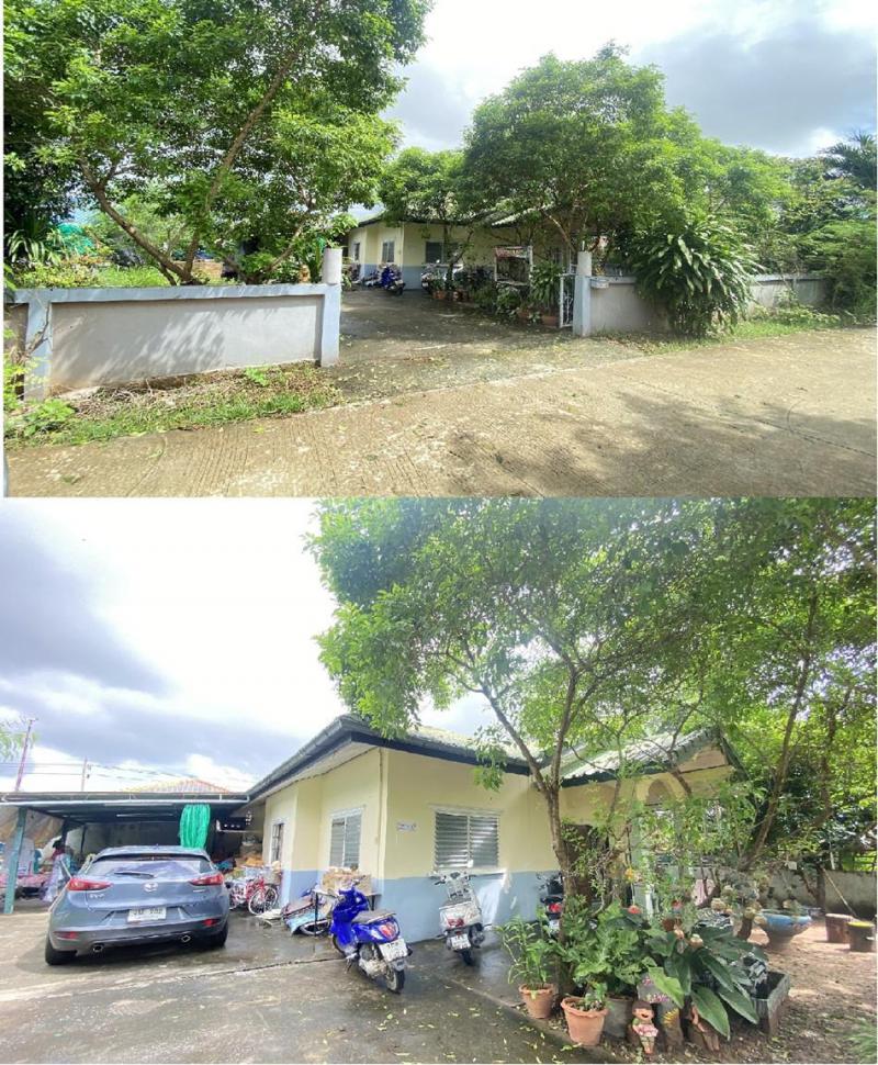 บ้านเดี่ยวหลุดจำนอง ธ.ธนาคารอาคารสงเคราะห์ นครราชสีมา เมืองนครราชสีมา โพธิ์กลาง