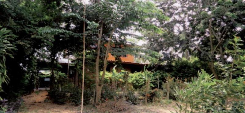 บ้านเดี่ยวหลุดจำนอง ธ.ธนาคารอาคารสงเคราะห์ นครราชสีมา พิมาย รังกาใหญ่