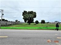 ที่ดินว่างเปล่าหลุดจำนอง ธ.ธนาคารกสิกรไทย นครราชสีมา บัวใหญ่ บัวใหญ่
