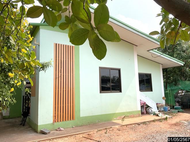 บ้านเดี่ยวหลุดจำนอง ธ.ธนาคารกสิกรไทย นครราชสีมา ขามสะแกแสง พะงาด